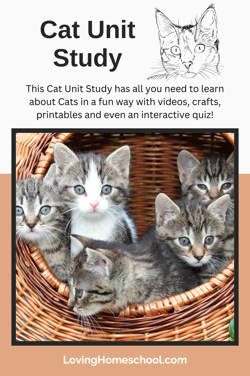 Cat Unit Study Pinterest Pin