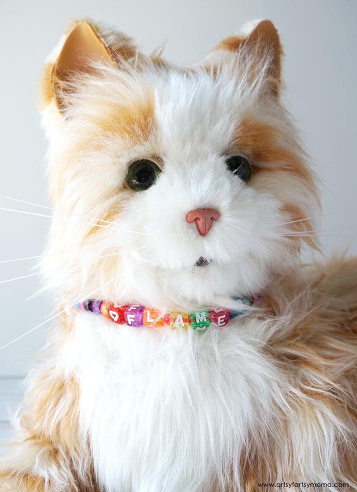 Cat-Wearing-Collar