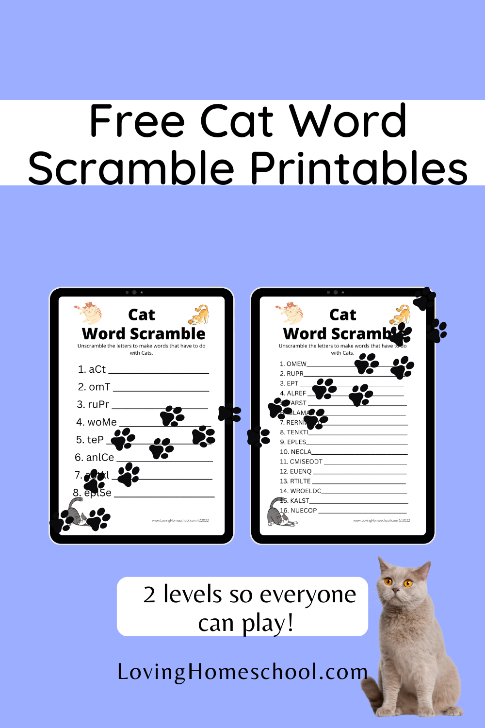 Cat Word Scramble Printables Pinterest Pin