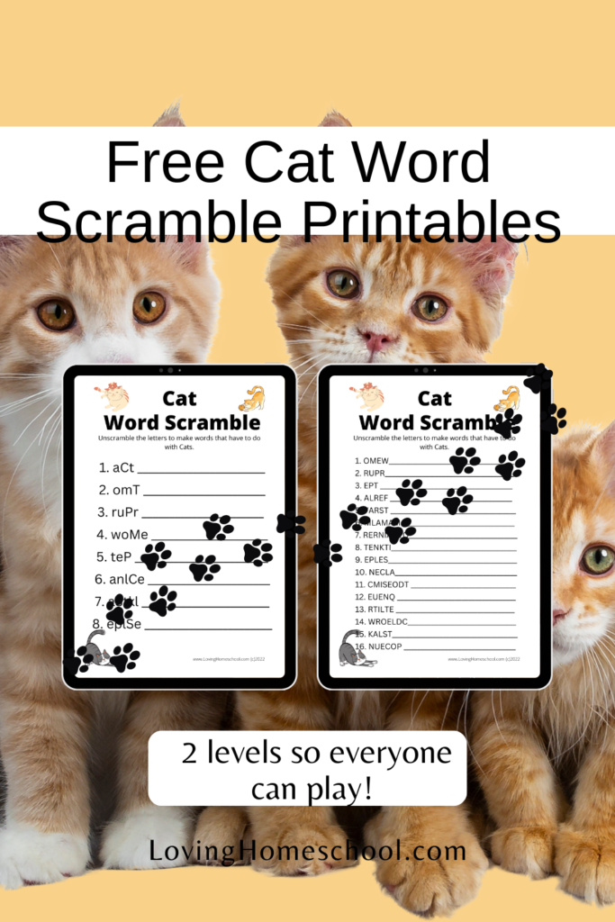 Cat Word Scramble Printables Pinterest Pin