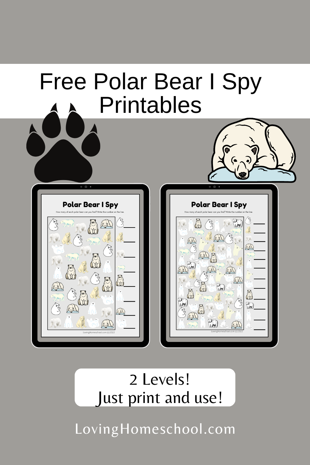 Polar Bear I Spy Printables Pinterest Pin