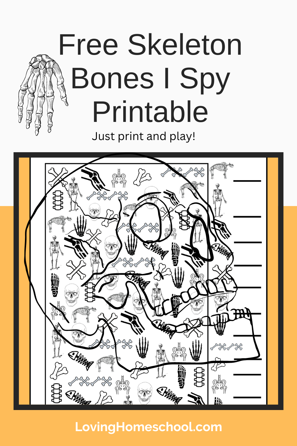 Skeleton Bones I Spy Printable Pinterest Pin