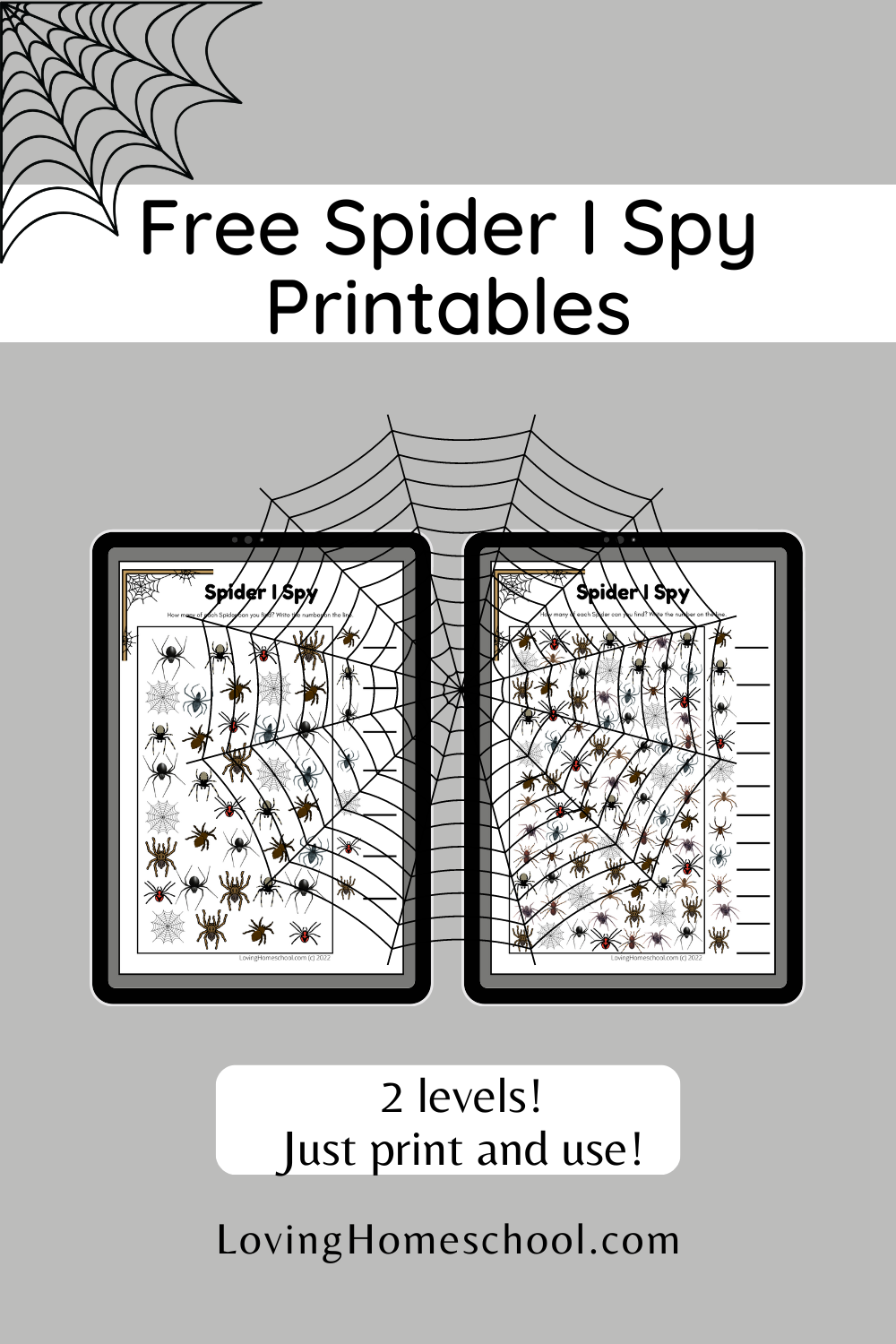 Spider I Spy Printables Pinterest Pin