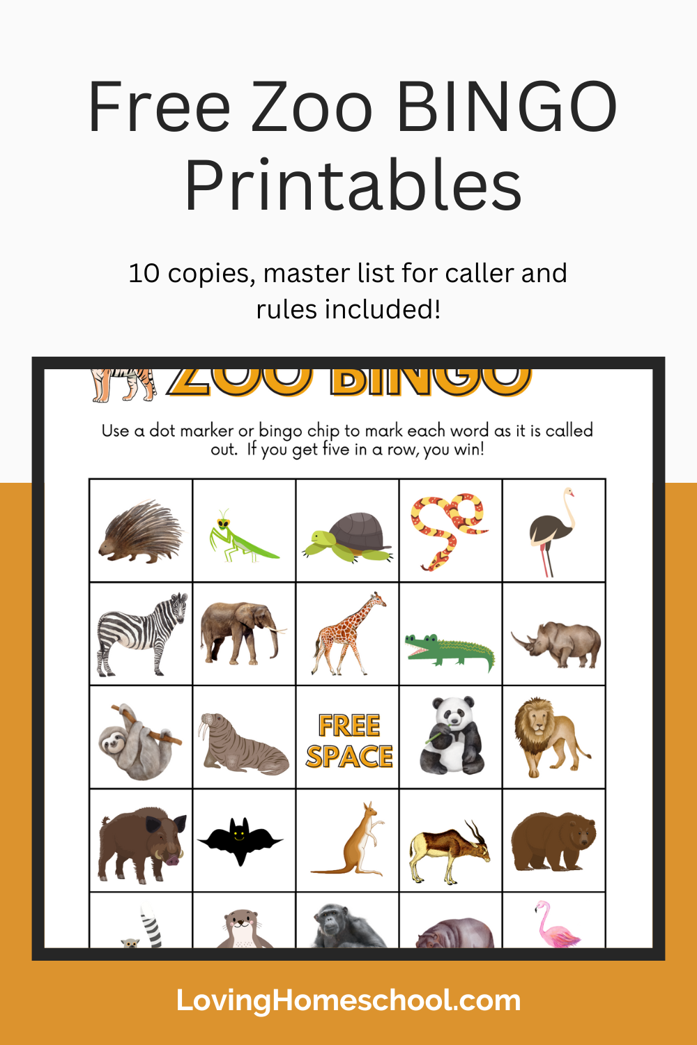 Free Zoo BINGO Printables Pinterest Pin