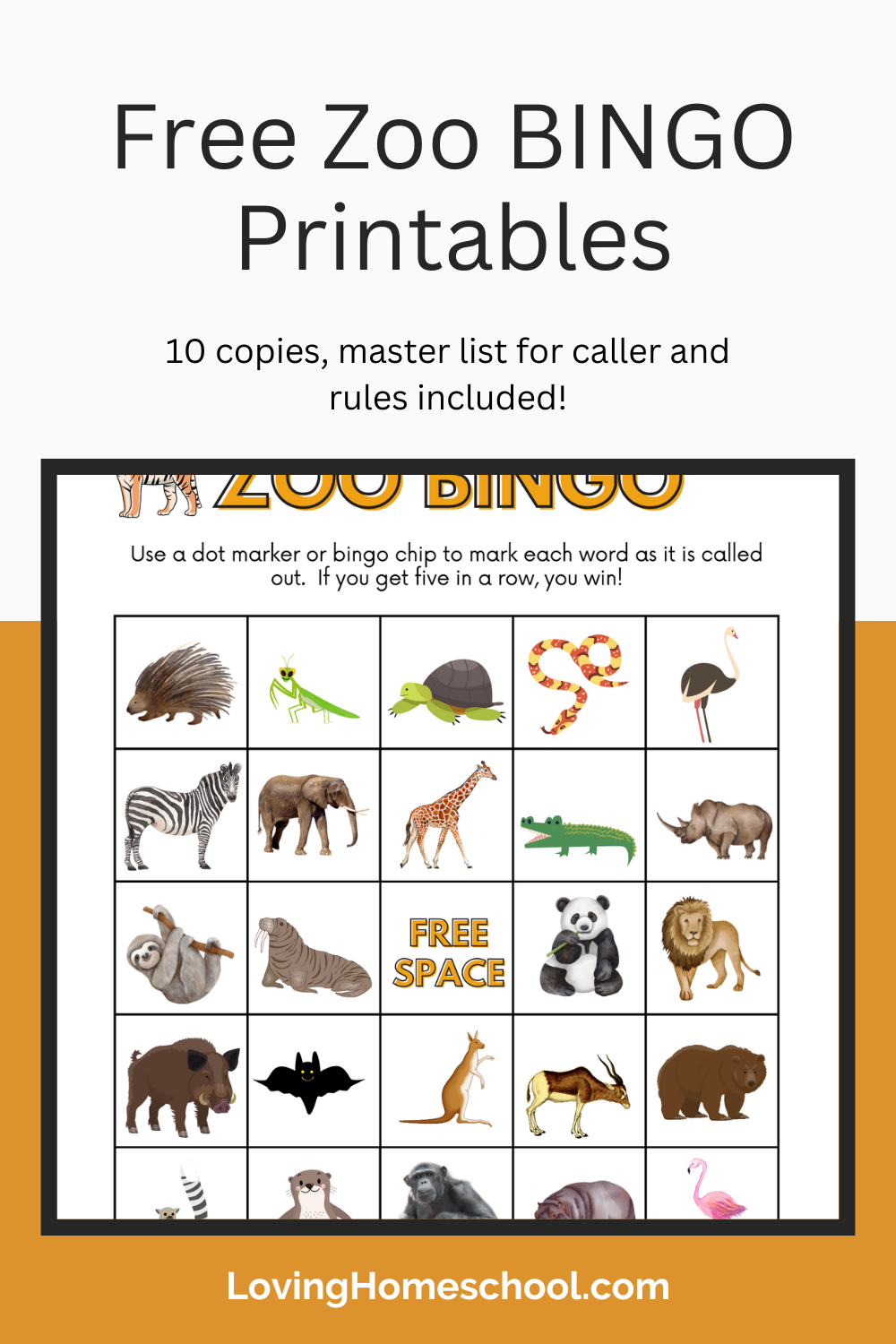 Pin on Animal Printables