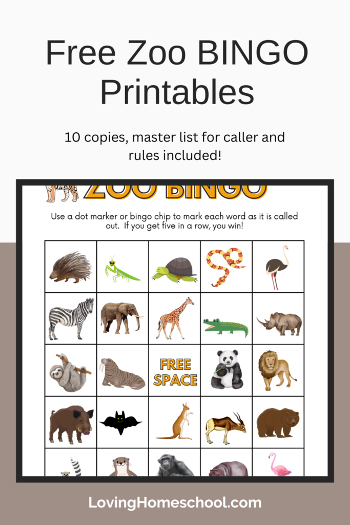 Free Zoo BINGO Printables Pinterest Pin