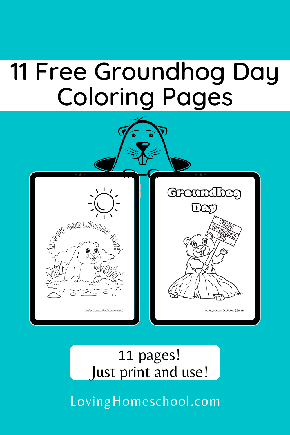 11 Free Groundhog Day Coloring Pages Pinterest Pin