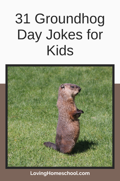 31 Groundhog Day Jokes for Kids Pinterest Pin