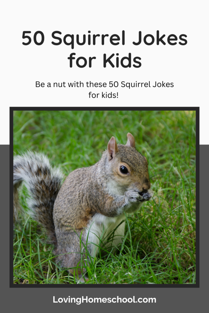 50 Squirrel Jokes for Kids Pinterest Pin