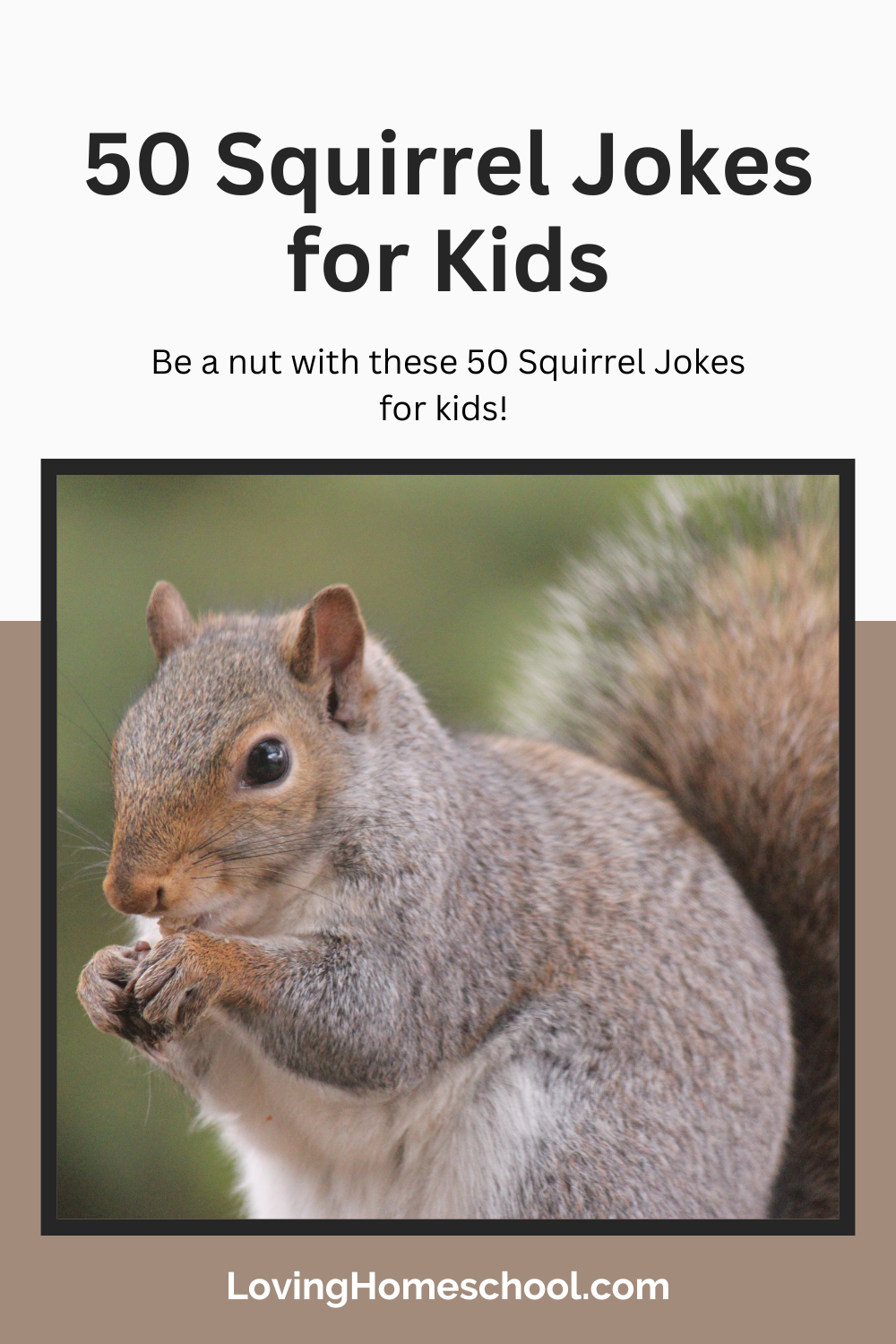 50 Squirrel Jokes for Kids Pinterest Pin