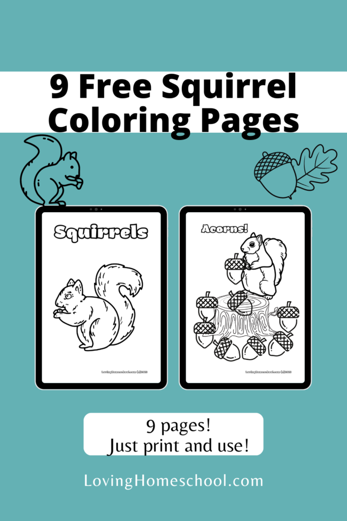 9 Free Squirrel Coloring Pages Pinterest Pin