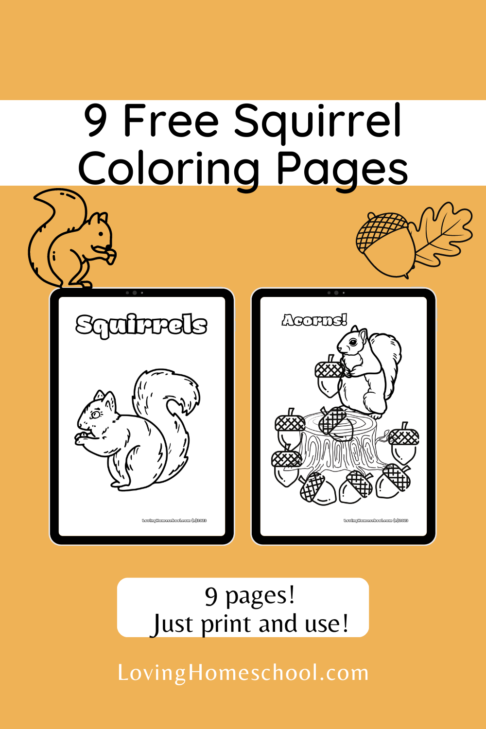 9 Free Squirrel Coloring Pages Pinterest Pin