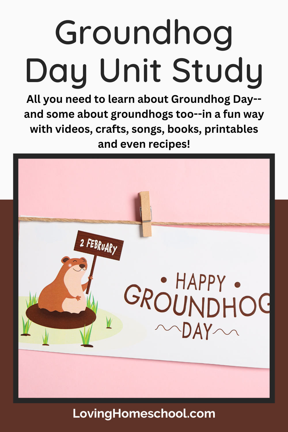 Groundhog Day Unit Study Pinterest Pin
