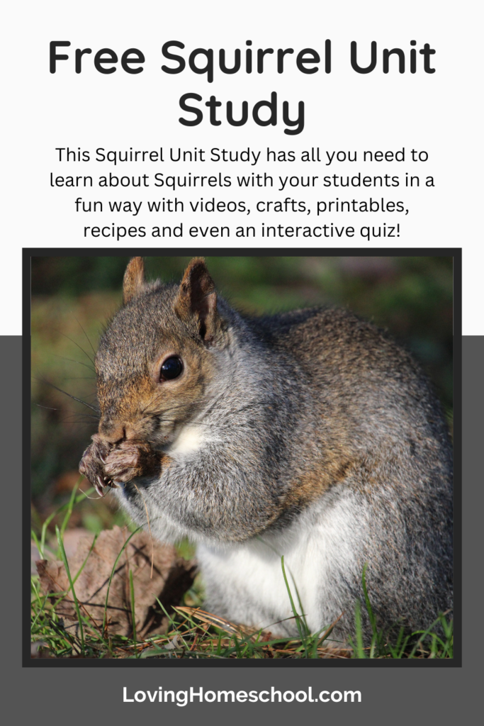 Squirrel Unit Study Pinterest Pin