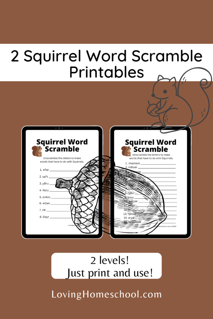 Squirrel Word Scramble Printables Pinterest Pin