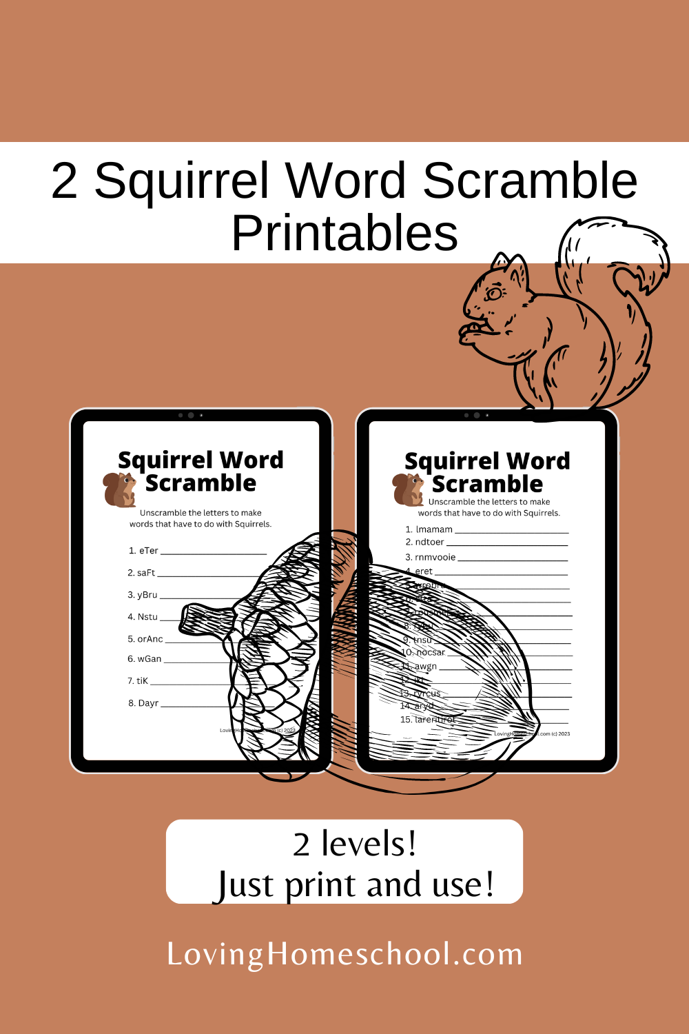 Squirrel Word Scramble Printables Pinterest Pin