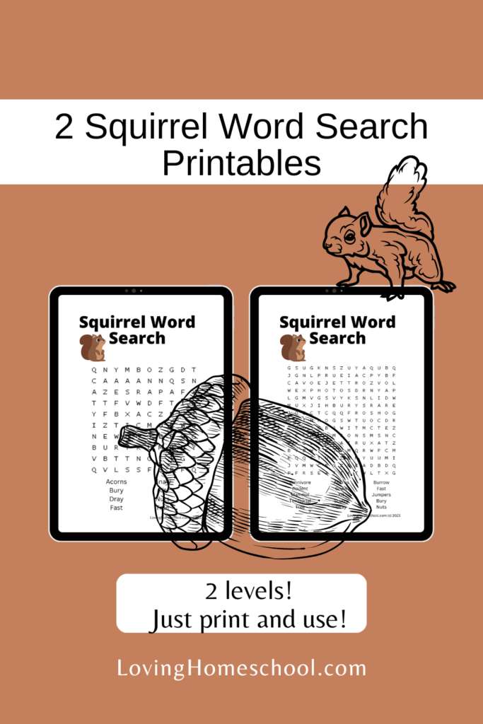 Squirrel Word Search Printables Pinterest Pin