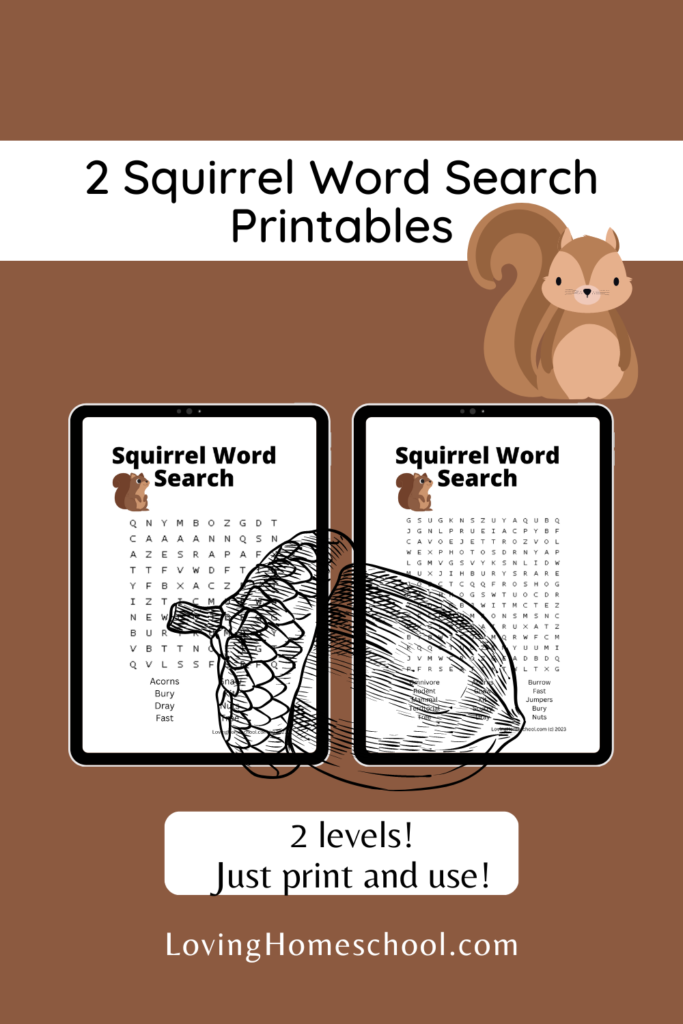 Squirrel Word Search Printables Pinterest Pin