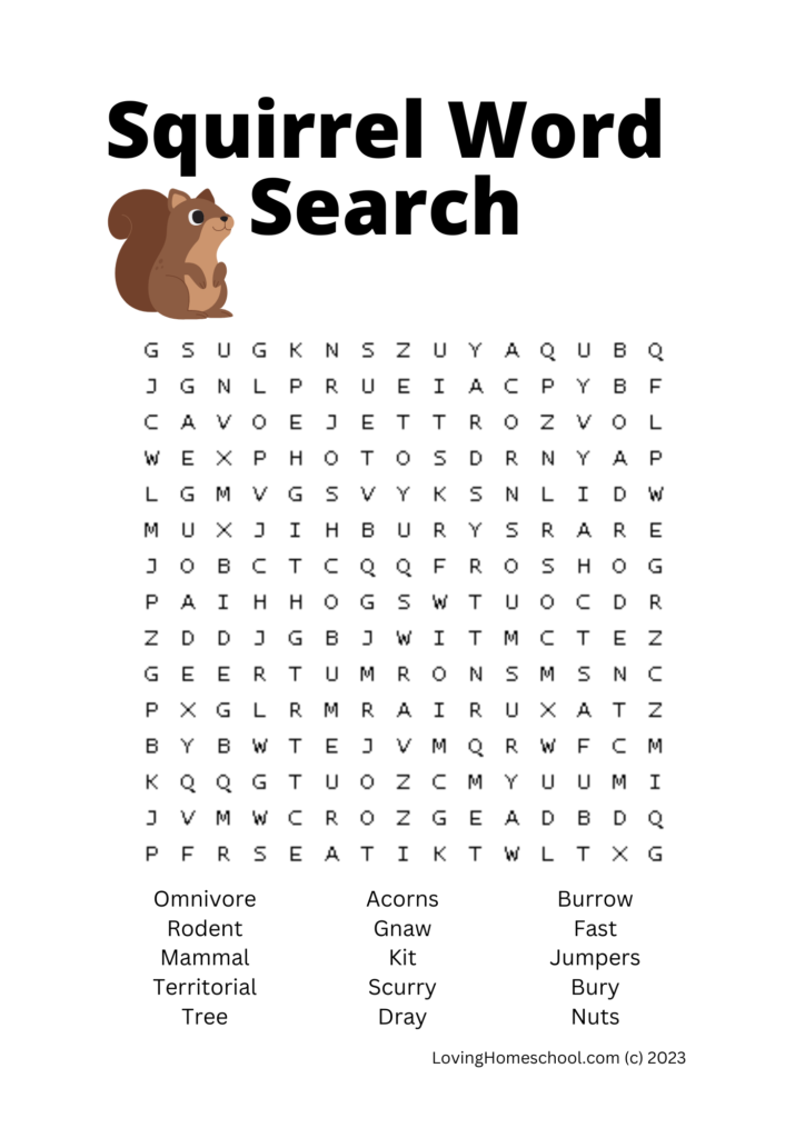 Squirrel Word Search for older kids