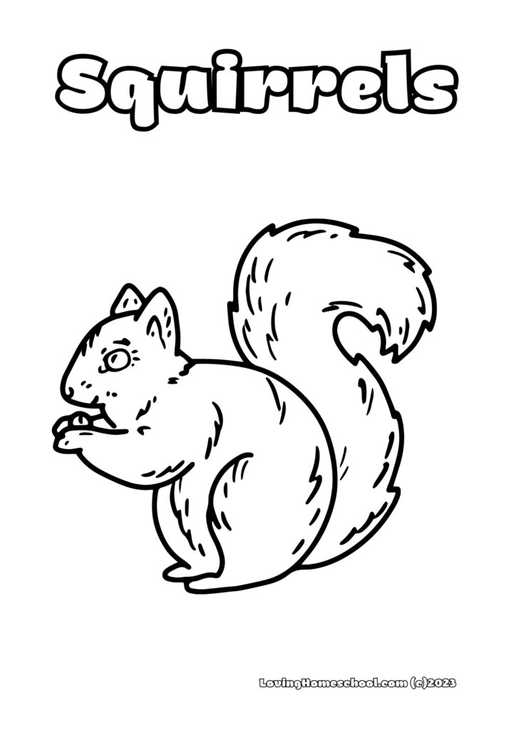 Squirrels Coloring Pages