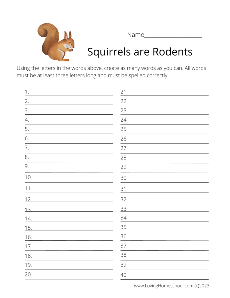 Squirrels are rodents