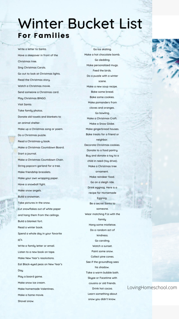 Winter Bucket List Pinterest Pin