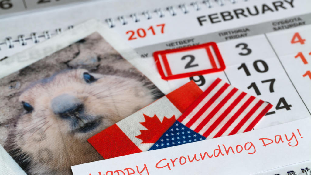 picture of groundhog sitting on top of February calendar page that has 2 circled