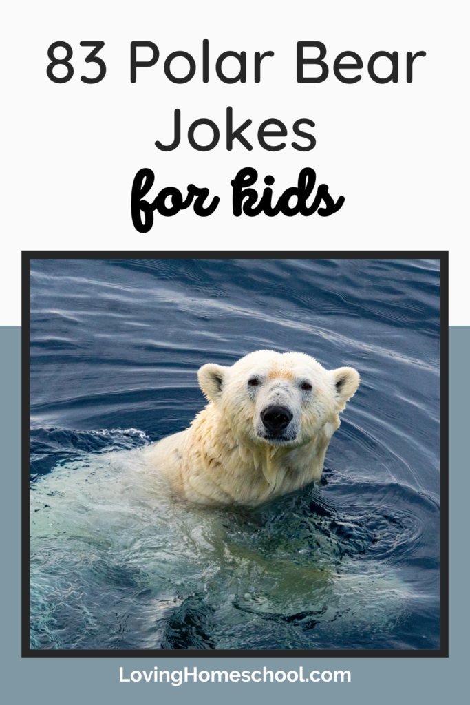 83 Polar Bear Jokes Pinterest Pin