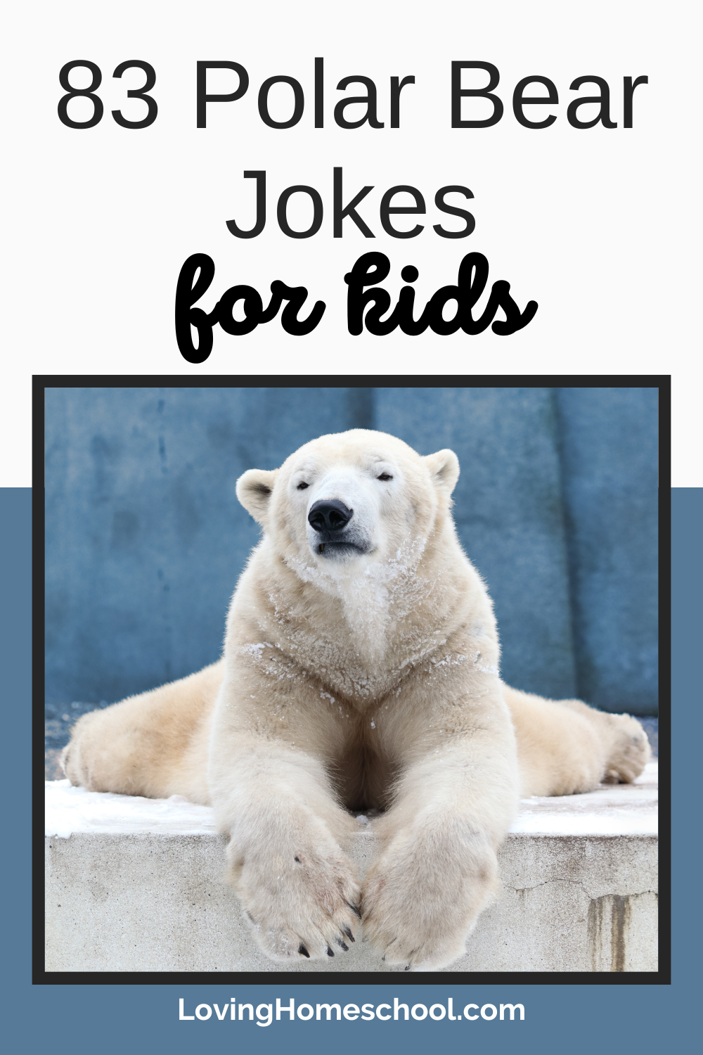 83 Polar Bear Jokes Pinterest Pin