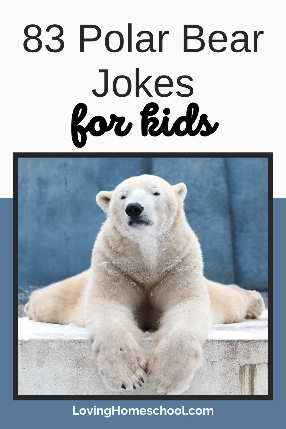 Polar Bear Puns