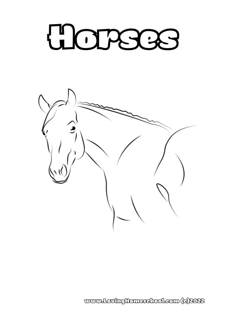 Horses Coloring Pages