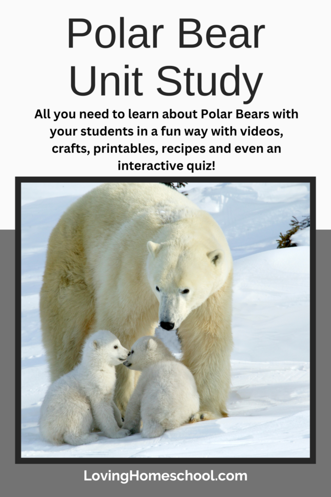 Polar Bear Unit Study Pinterest Pin