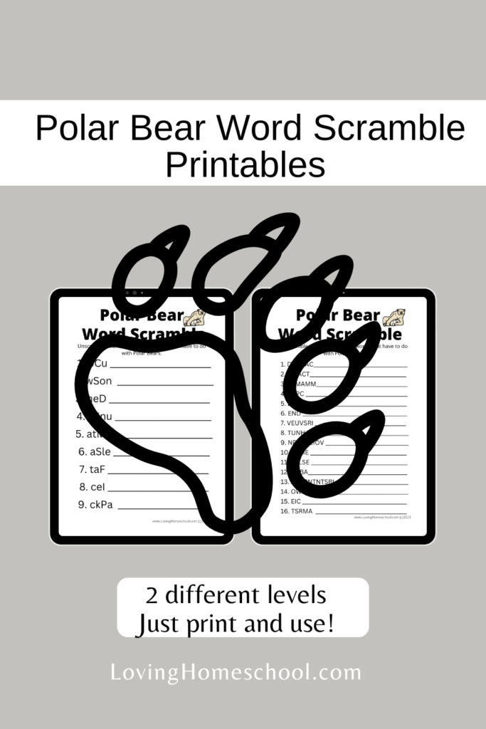 Polar Bear Word Scramble Printables Pinterest Pin