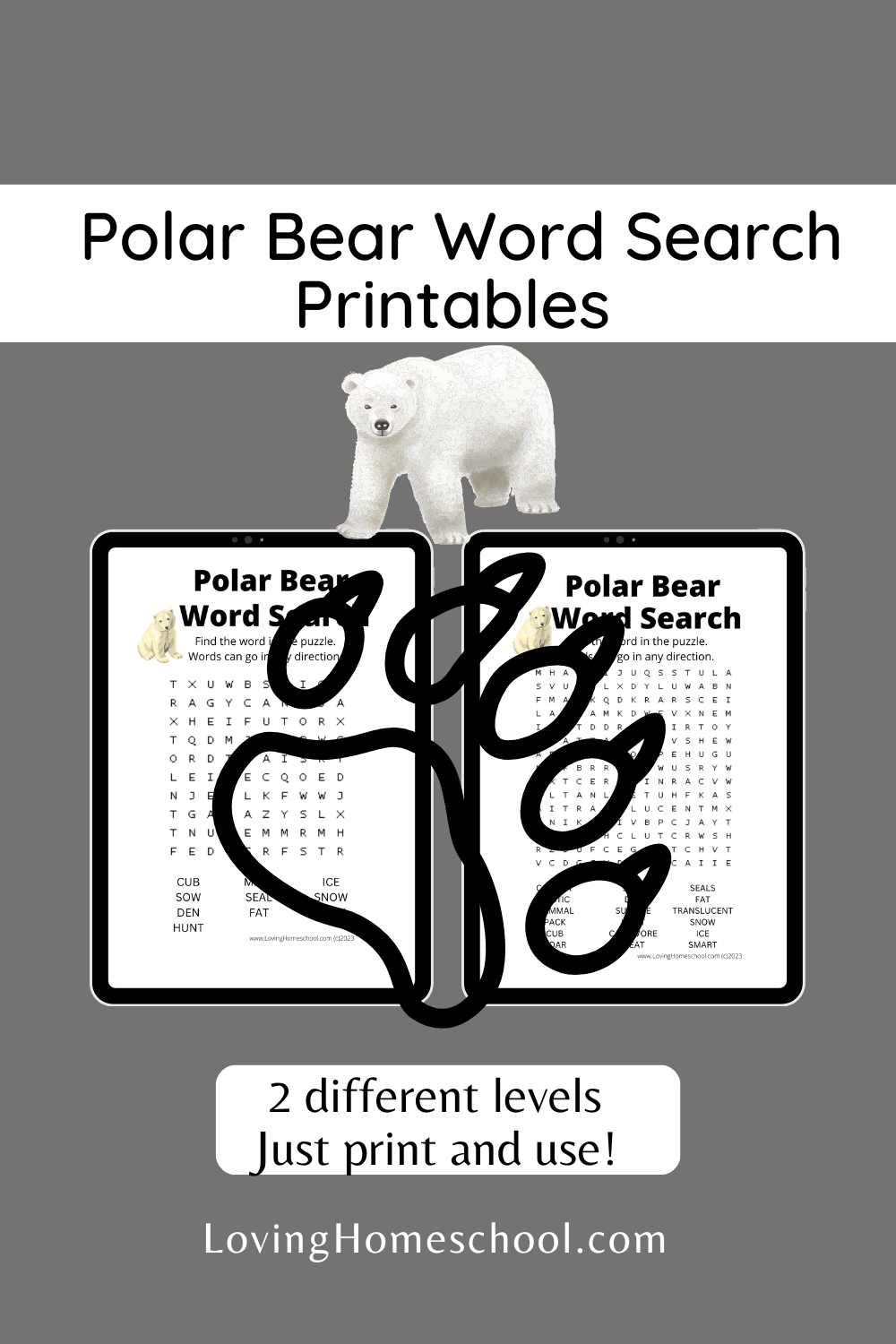 Polar Bear Word Search Printables Pinterest Pin