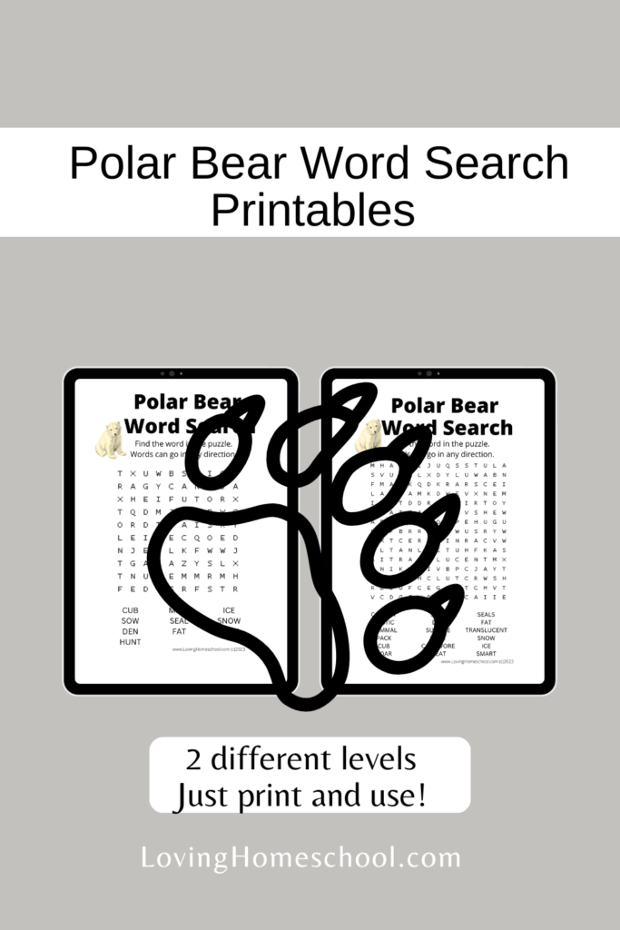 Polar Bear Word Search Printables Pinterest Pin