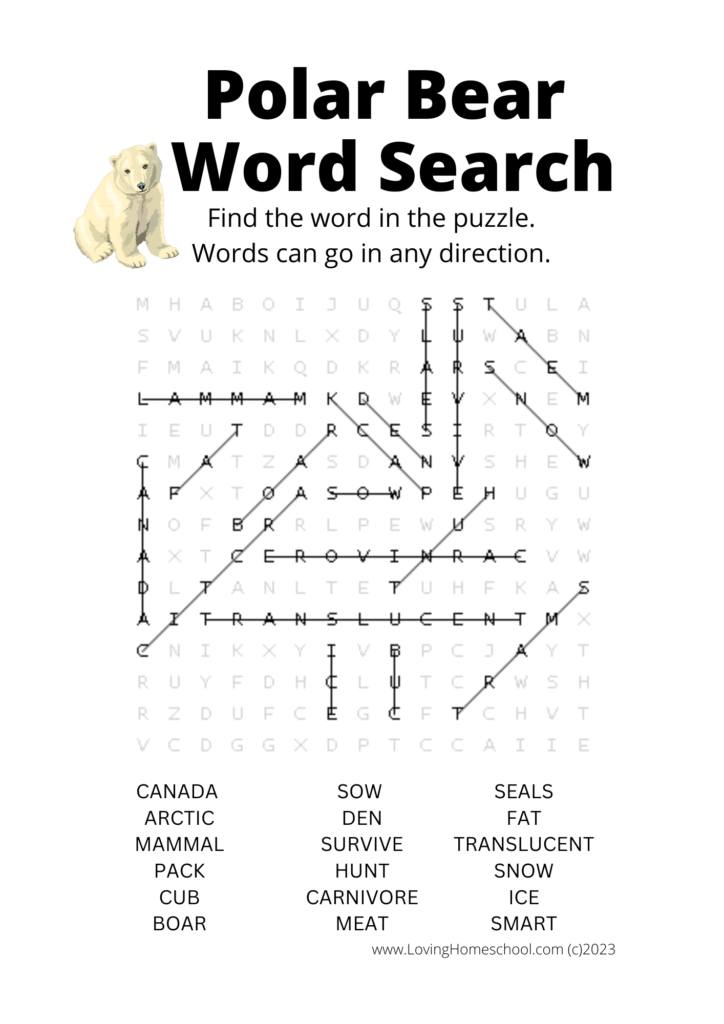 Polar Bear Word Search for older kids answers