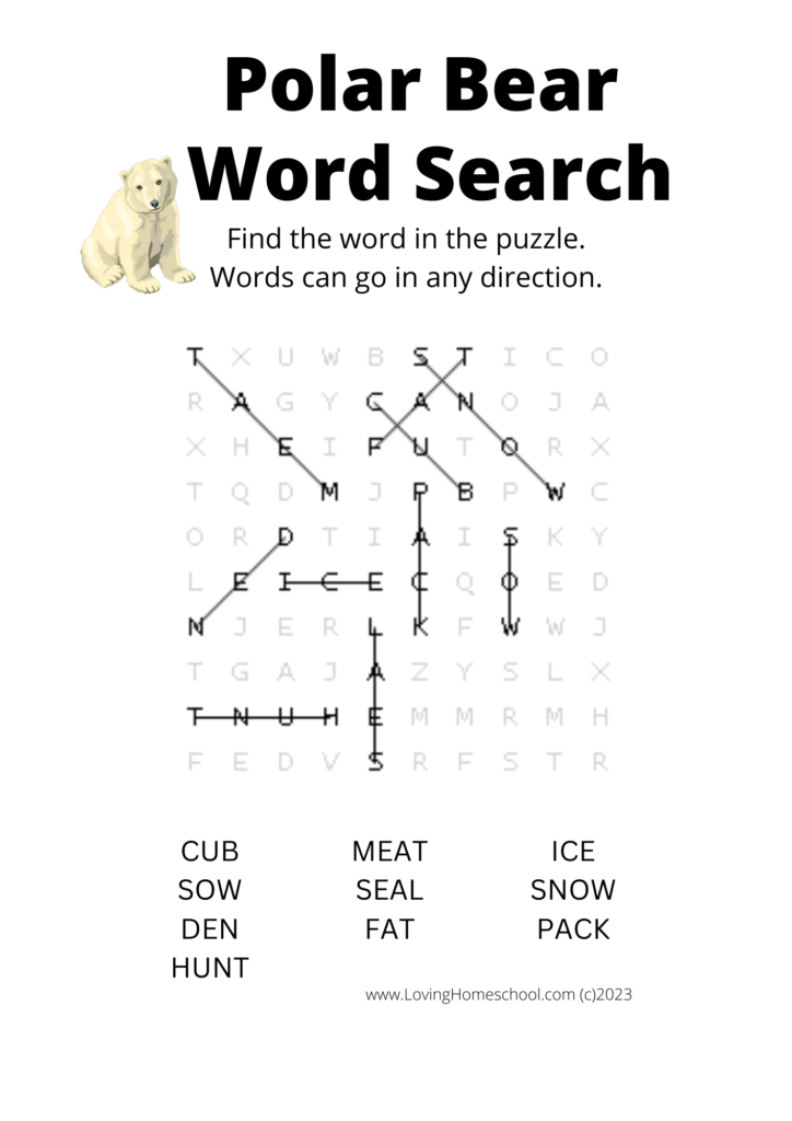 Polar Bear Word Search for younger kids answers