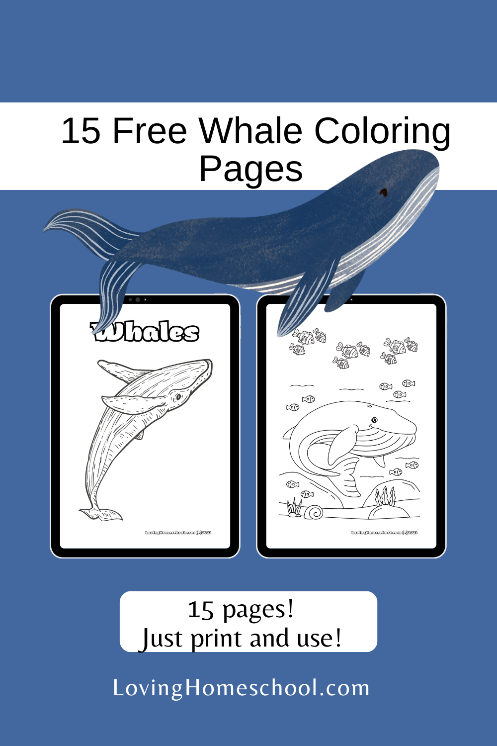15 Free Whale Coloring Pages Pinterest Pin