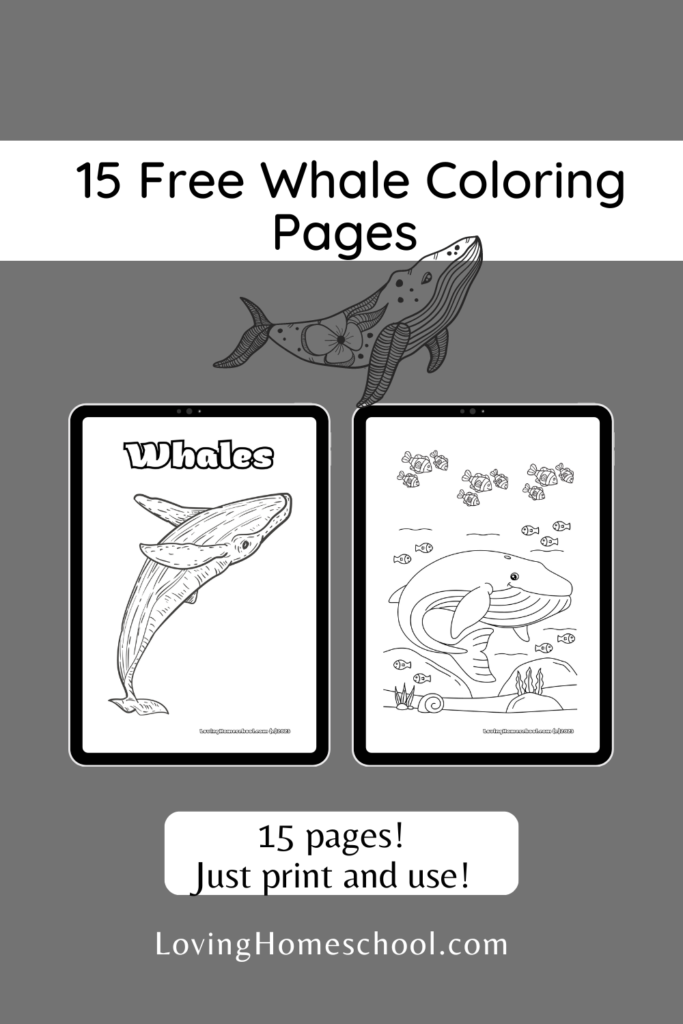 15 Free Whale Coloring Pages Pinterest Pin