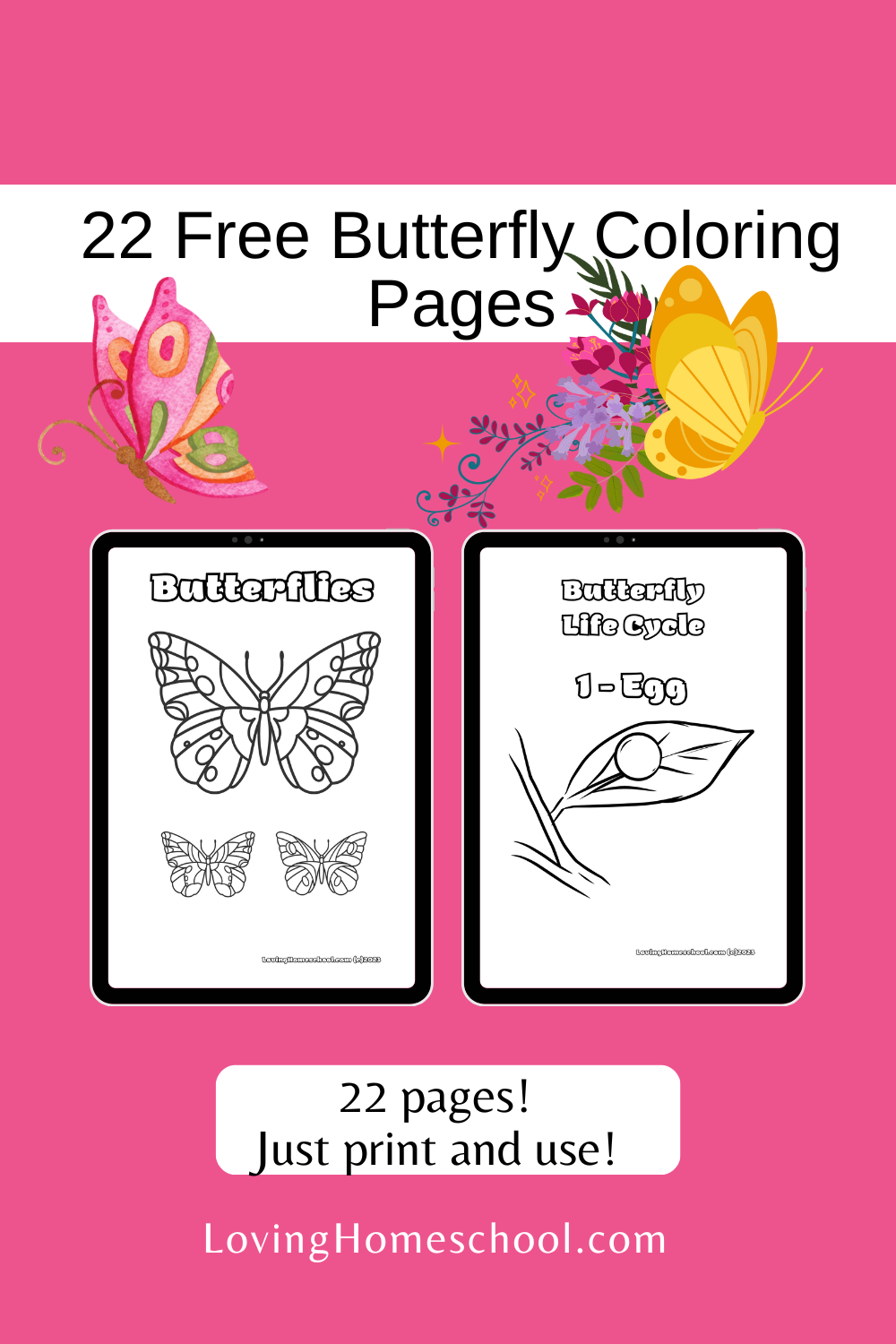 coloring pages of butterfly life cycle