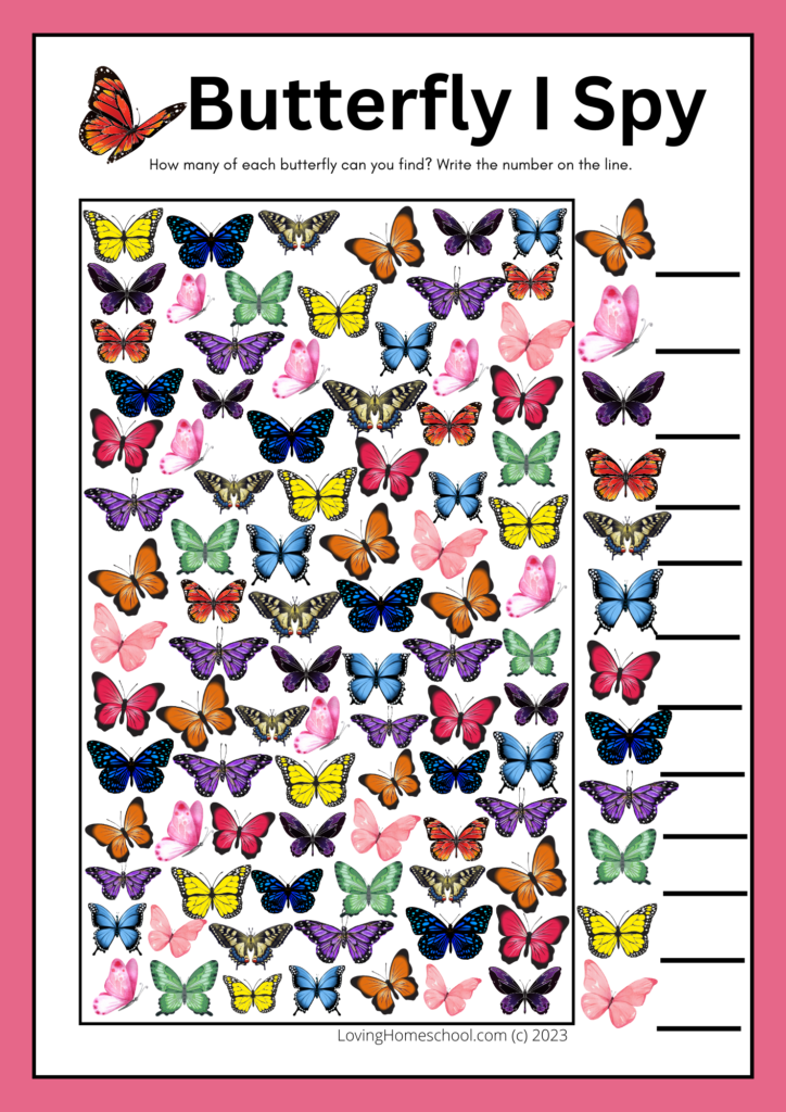 Butterfly I Spy for older kids