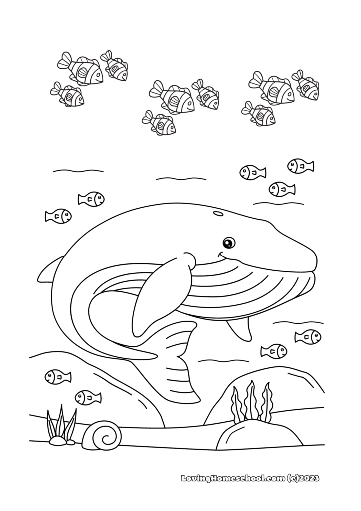 Whales Coloring Page