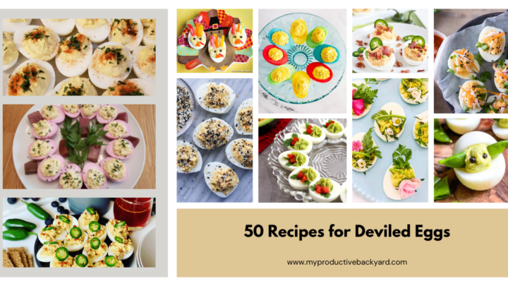 Image for 50 Recipes for Deviled Eggs