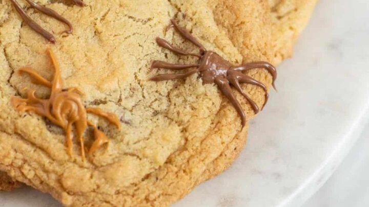 Image for Easy Spider Cookies with Chocolate Chips