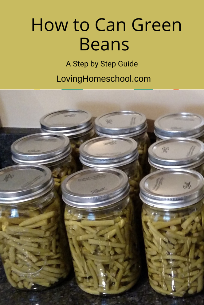 How to Can Green Beans Pinterest Pin