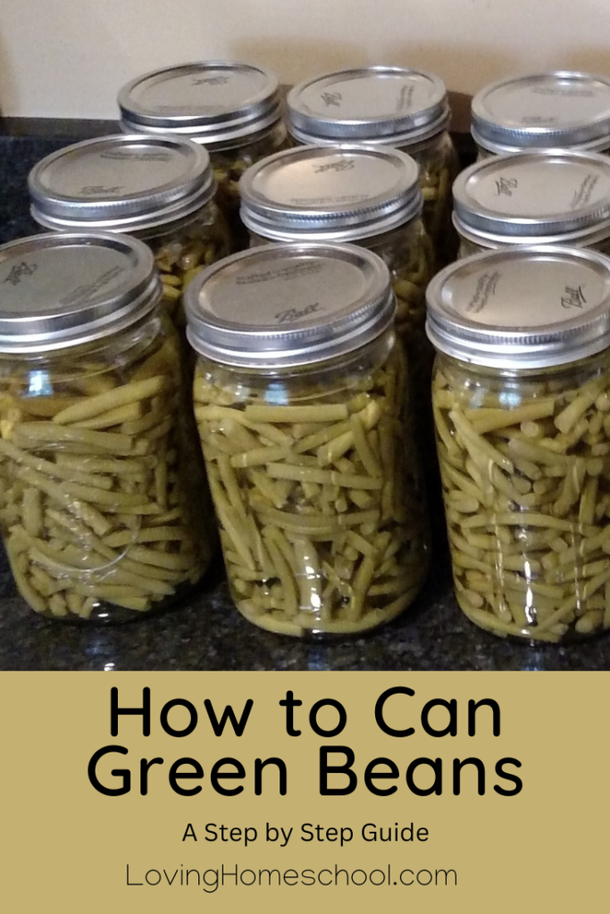 How to Can Green Beans Pinterest Pin