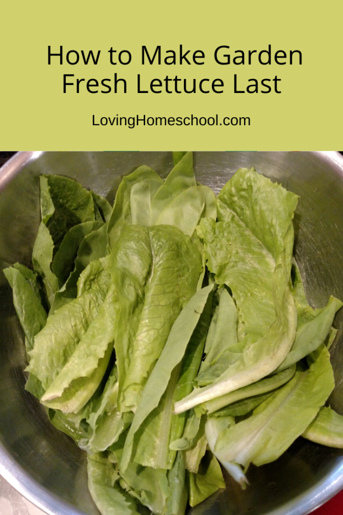 How to Make Garden Fresh Lettuce Last Pinterest Pin