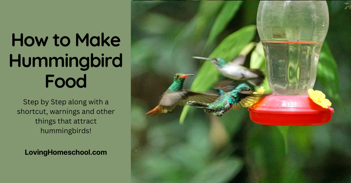 How to Make Hummingbird Food - LovingHomeschool.com