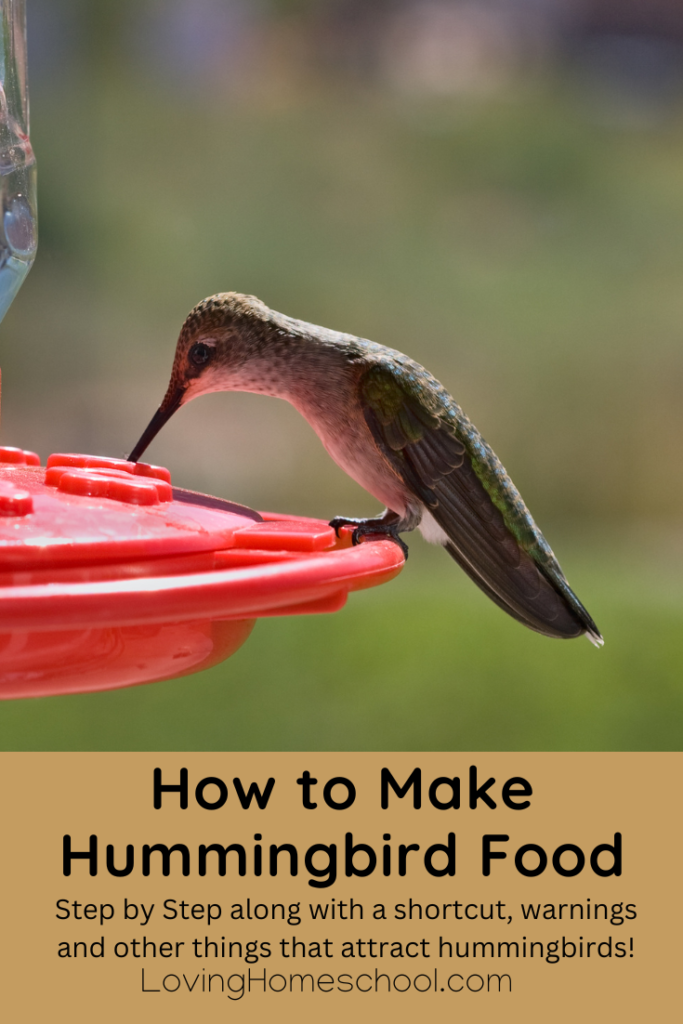 How to Make Hummingbird Food Pinterest Pin