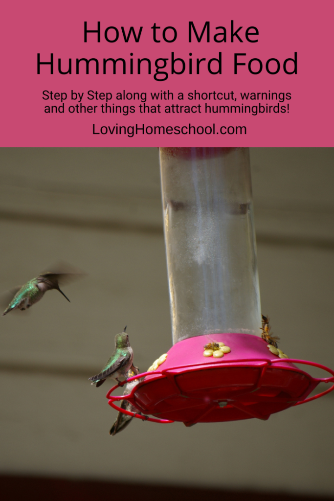 How to Make Hummingbird Food Pinterest Pin